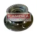Комплект подшипника ступицы колеса KAMOKA 5500005 (фото 1)