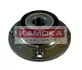 Комплект подшипника ступицы колеса KAMOKA 5500007 (фото 1)