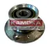 Комплект подшипника ступицы колеса KAMOKA 5500008 (фото 1)