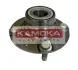 Комплект подшипника ступицы колеса KAMOKA 5500013 (фото 1)