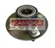 Комплект подшипника ступицы колеса KAMOKA 5500015 (фото 1)
