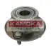 Комплект подшипника ступицы колеса KAMOKA 5500016 (фото 1)