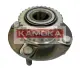 Комплект подшипника ступицы колеса KAMOKA 5500017 (фото 1)