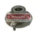 Комплект подшипника ступицы колеса KAMOKA 5500019 (фото 1)