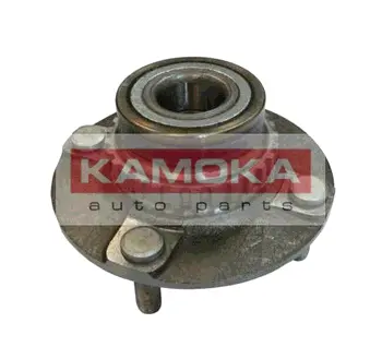 Комплект подшипника ступицы колеса KAMOKA 5500019