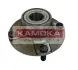 Комплект подшипника ступицы колеса KAMOKA 5500020 (фото 1)