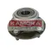 Комплект подшипника ступицы колеса KAMOKA 5500028 (фото 1)