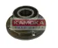 Комплект подшипника ступицы колеса KAMOKA 5500029 (фото 1)