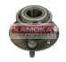 Комплект подшипника ступицы колеса KAMOKA 5500037 (фото 1)
