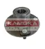 Комплект подшипника ступицы колеса KAMOKA 5500038 (фото 1)