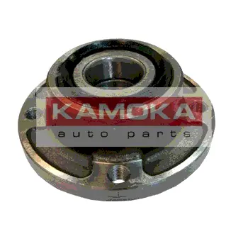 Комплект подшипника ступицы колеса KAMOKA 5500040