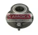 Комплект подшипника ступицы колеса KAMOKA 5500047 (фото 1)