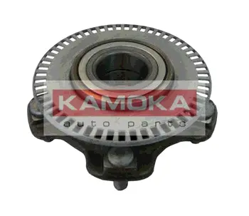 Комплект подшипника ступицы колеса KAMOKA 5500050