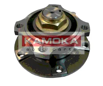 Комплект подшипника ступицы колеса KAMOKA 5500070