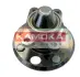 Комплект подшипника ступицы колеса KAMOKA 5500075 (фото 1)
