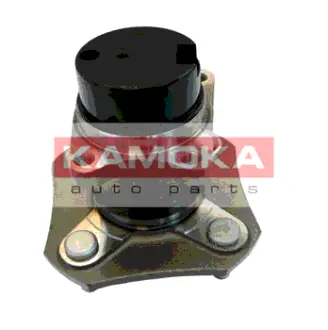 Комплект подшипника ступицы колеса KAMOKA 5500094