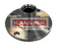 Ступица колеса KAMOKA 5500107 (фото 1)
