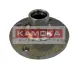 Комплект подшипника ступицы колеса KAMOKA 5500109 (фото 1)