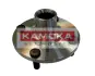 Комплект подшипника ступицы колеса KAMOKA 5500111 (фото 1)