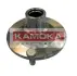 Комплект подшипника ступицы колеса KAMOKA 5500113 (фото 1)