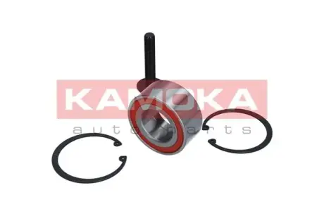 Комплект подшипника ступицы колеса KAMOKA 5600001