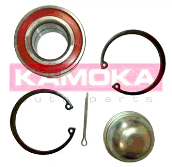 Комплект подшипника ступицы колеса KAMOKA 5600047