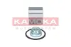 Комплект подшипника ступицы колеса KAMOKA 5600066 (фото 2)