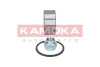Комплект подшипника ступицы колеса KAMOKA 5600081 (фото 2)