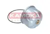 Масляный фильтр KAMOKA F115001 (фото 2)