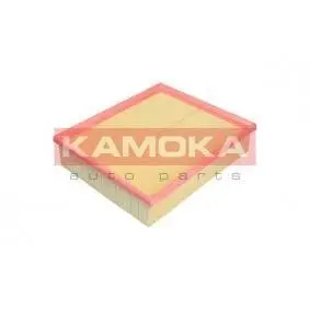 Air filter. Фильтр воздушный KAMOKA F221801