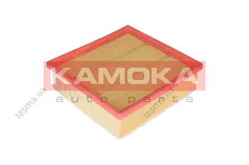 Воздушный фильтр KAMOKA F225101 (фото 1)