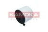 Повітряний фільтр двигуна KAMOKA F255001 (фото 2)