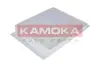 Cabin air filter. Фильтр воздушный салона KAMOKA F405801 (фото 1)