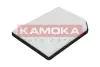 Фильтр, воздух во внутренном пространстве KAMOKA F407801 (фото 3)