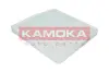 Фильтр, воздух во внутренном пространстве KAMOKA F409201 (фото 1)