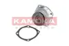 Водяной насос KAMOKA T0010 (фото 1)