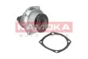 Водяной насос KAMOKA T0010 (фото 4)