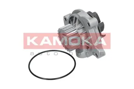 Водяной насос KAMOKA T0042