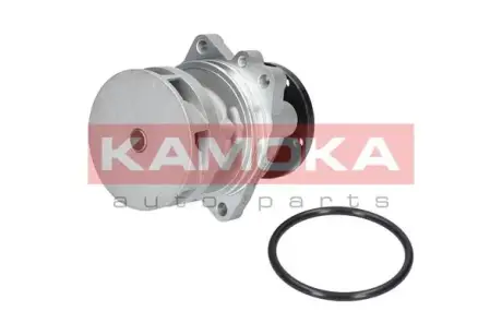 Водяной насос KAMOKA T0059