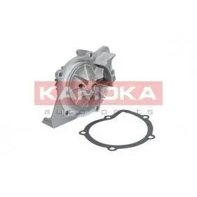 Water pump. Насос системы охлаждения KAMOKA T0091