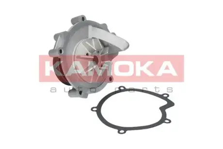 Водяной насос KAMOKA T0100