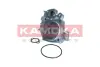 Водяной насос KAMOKA T0120 (фото 2)