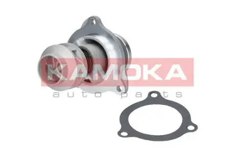 Водяной насос KAMOKA T0135