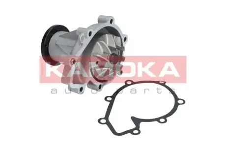 Водяной насос KAMOKA T0184