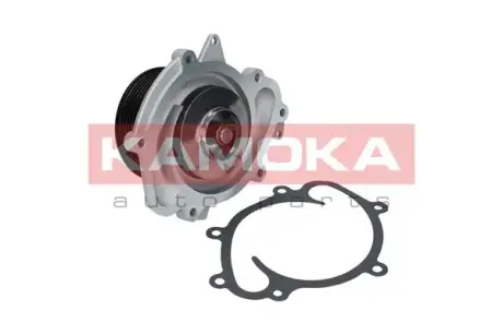 Водяной насос KAMOKA T0191