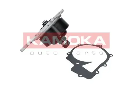 Водяной насос KAMOKA T0200