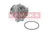 Водяной насос KAMOKA T0234 (фото 1)