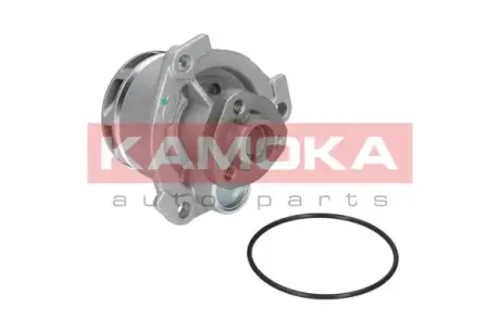Водяной насос KAMOKA T0234
