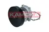 Водяной насос KAMOKA T0247 (фото 1)