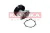 Водяной насос KAMOKA T0247 (фото 2)